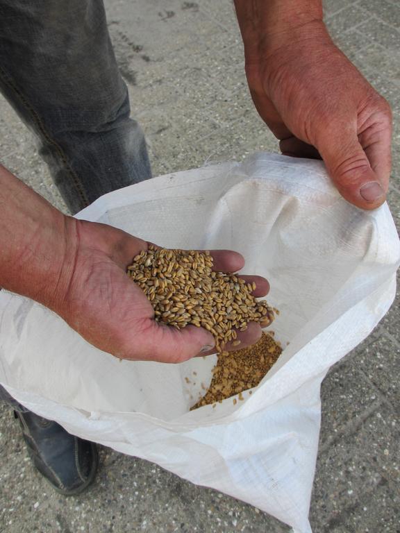 B&B Boerderij Wijtvliet Langeweg Εξωτερικό φωτογραφία